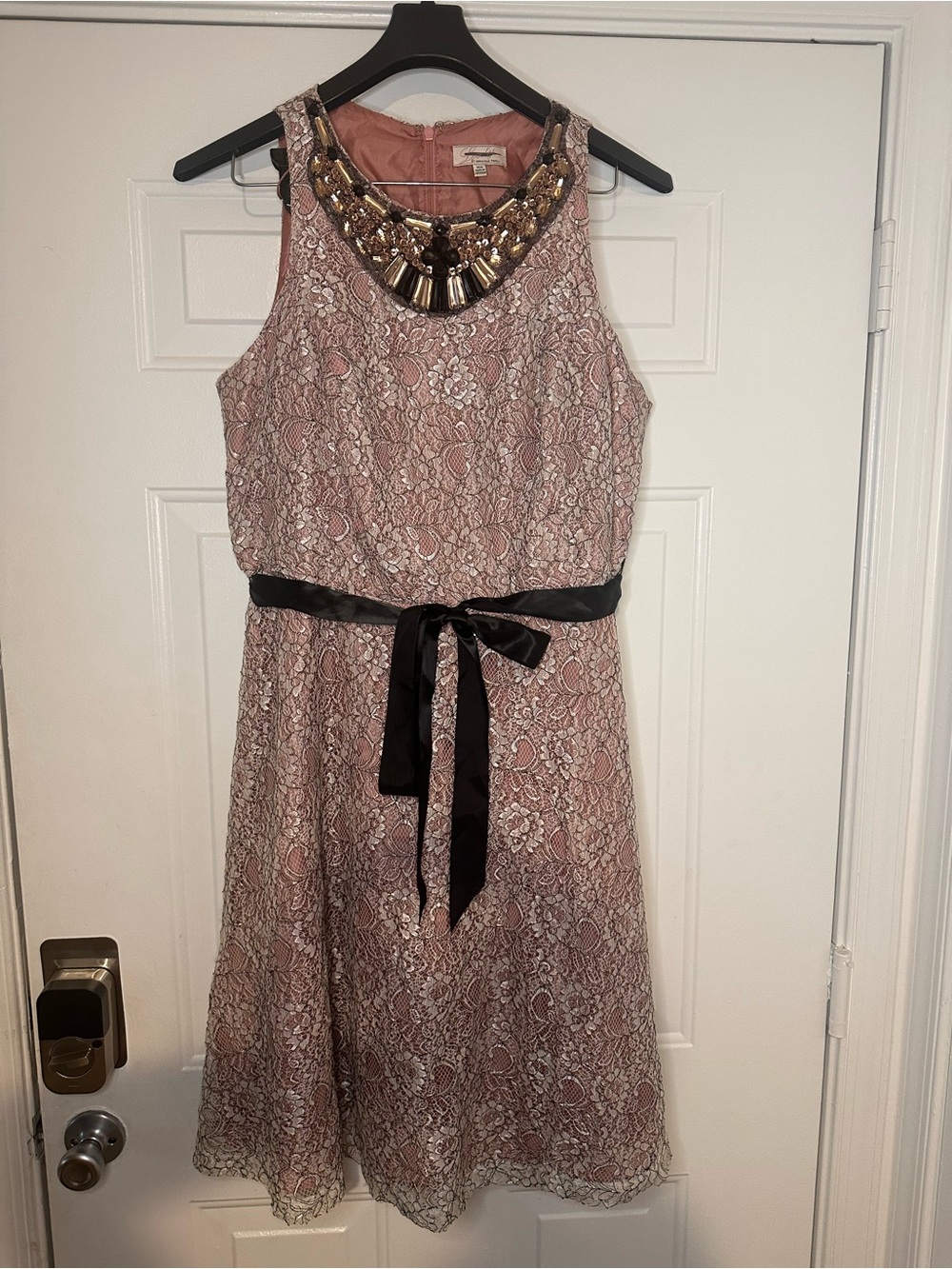 Adrianna Papell Dusty Rose Lace Dress with Jeweled Neckline